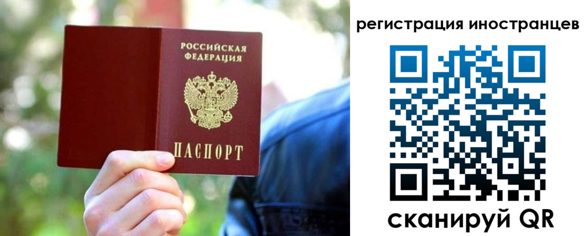 временная регистрация поиск в Берёзовском